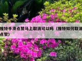 推特手滑点赞马上取消可以吗（推特如何取消点赞）