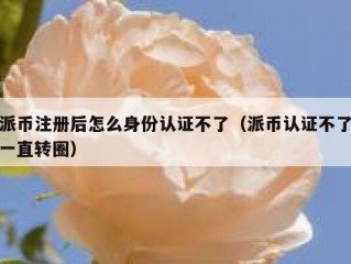派币注册后怎么身份认证不了（派币认证不了一直转圈）