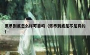 派币到底怎么样可靠吗（派币到底是不是真的）