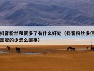 抖音粉丝和赞多了有什么好处（抖音粉丝多但是赞的少怎么回事）