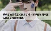 派币已被国家正式批准了吗（派币已被国家正式批准了吗最新消息）