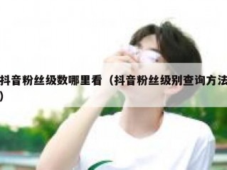 抖音粉丝级数哪里看（抖音粉丝级别查询方法）