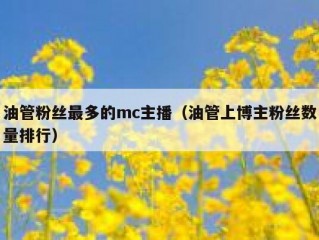 油管粉丝最多的mc主播（油管上博主粉丝数量排行）