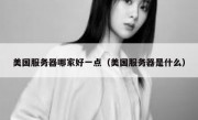 美国服务器哪家好一点（美国服务器是什么）