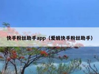 快手粉丝助手app（爱娟快手粉丝助手）