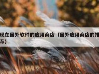 现在国外软件的应用商店（国外应用商店的推荐）