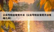 公众号粉丝变现方法（公众号粉丝变现方法有哪几种）