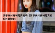 派币支付商城是真的吗（派币支付商城是真的吗还是假的）