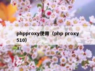 phpproxy使用（php proxy510）