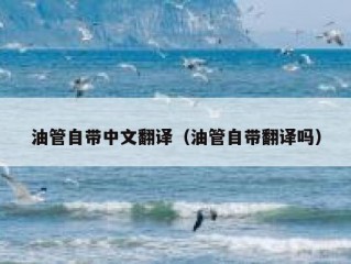 油管自带中文翻译（油管自带翻译吗）