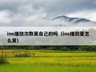 ins播放次数算自己的吗（ins播放量怎么算）