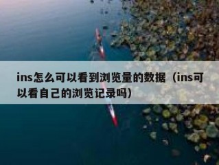 ins怎么可以看到浏览量的数据（ins可以看自己的浏览记录吗）