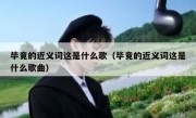 毕竟的近义词这是什么歌（毕竟的近义词这是什么歌曲）