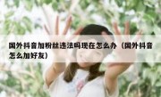 国外抖音加粉丝违法吗现在怎么办（国外抖音怎么加好友）