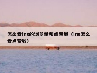 怎么看ins的浏览量和点赞量（ins怎么看点赞数）