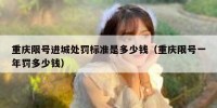 重庆限号进城处罚标准是多少钱（重庆限号一年罚多少钱）