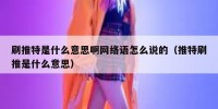 刷推特是什么意思啊网络语怎么说的（推特刷推是什么意思）