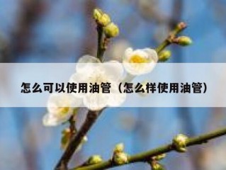 怎么可以使用油管（怎么样使用油管）
