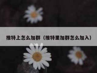 推特上怎么加群（推特里加群怎么加入）