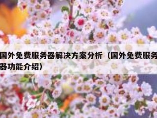 国外免费服务器解决方案分析（国外免费服务器功能介绍）