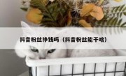 抖音粉丝挣钱吗（抖音粉丝能干啥）