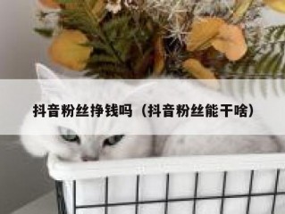 抖音粉丝挣钱吗（抖音粉丝能干啥）
