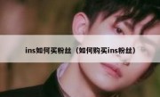 ins如何买粉丝（如何购买ins粉丝）