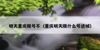 明天重庆限号不（重庆明天限什么号进城）