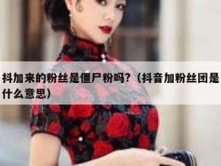 抖加来的粉丝是僵尸粉吗?（抖音加粉丝团是什么意思）