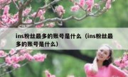 ins粉丝最多的账号是什么（ins粉丝最多的账号是什么）
