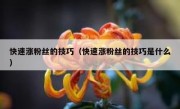 快速涨粉丝的技巧（快速涨粉丝的技巧是什么）