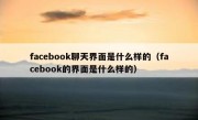 facebook聊天界面是什么样的（facebook的界面是什么样的）