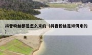 抖音粉丝都是怎么来的（抖音粉丝是如何来的）