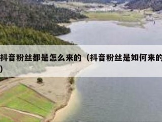 抖音粉丝都是怎么来的（抖音粉丝是如何来的）