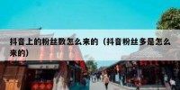 抖音上的粉丝数怎么来的（抖音粉丝多是怎么来的）