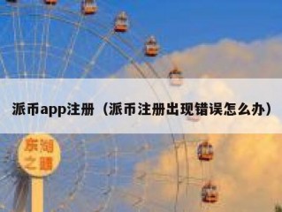 派币app注册（派币注册出现错误怎么办）
