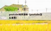 youtube如何涨粉（youtube怎么变现）