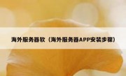 海外服务器软（海外服务器APP安装步骤）