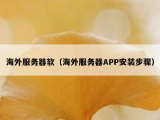海外服务器软（海外服务器APP安装步骤）