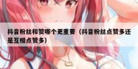 抖音粉丝和赞哪个更重要（抖音粉丝点赞多还是互相点赞多）