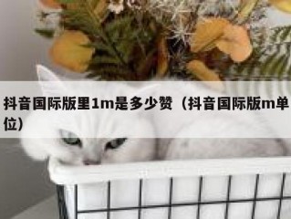 抖音国际版里1m是多少赞（抖音国际版m单位）