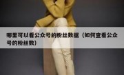 哪里可以看公众号的粉丝数据（如何查看公众号的粉丝数）