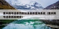 重庆限号违章罚款标准最新查询系统（重庆限号违章抓拍规定）
