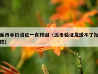 派币手机验证一直转圈（派币验证发送不了短信）