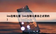 ins在哪儿看（ins在哪儿看自己点赞的）