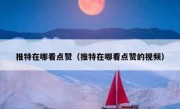 推特在哪看点赞（推特在哪看点赞的视频）