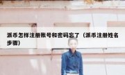 派币怎样注册账号和密码忘了（派币注册姓名步骤）