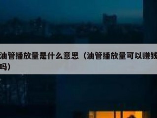 油管播放量是什么意思（油管播放量可以赚钱吗）