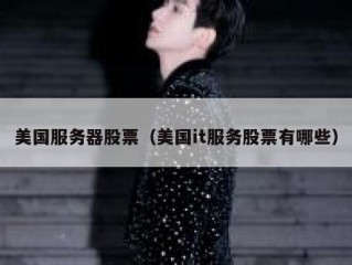 美国服务器股票（美国it服务股票有哪些）
