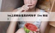 ins上的粉丝是真的吗知乎（ins 粉丝）